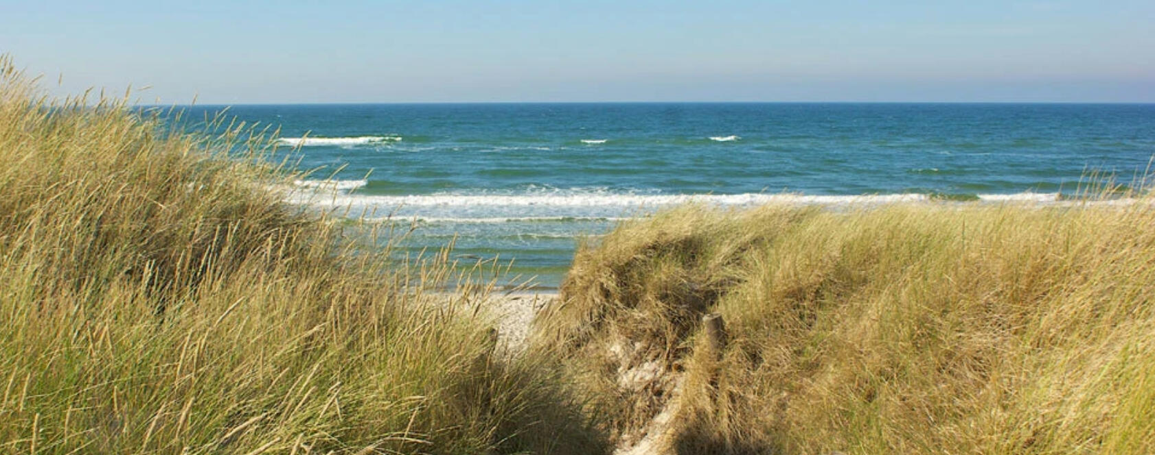 Bildquelle: Carl-Ernst Stahnke / pixelio.de